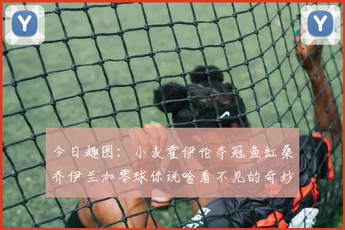 今日趣图：小麦霍伊伦夺冠鱼缸桑乔伊兰加零球你说啥看不见的奇妙瞬间